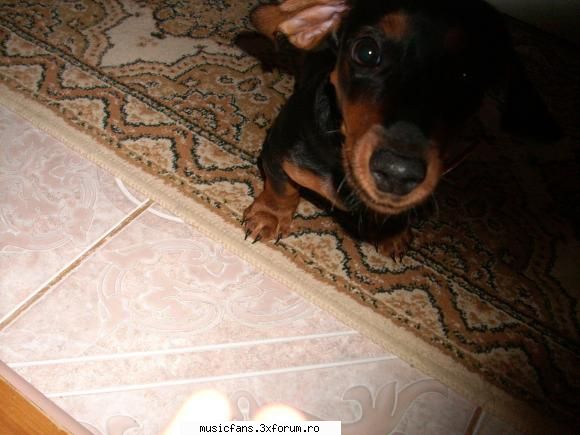 yo :* - inca o poza.....veti avea cosmaruri va averizez - Photos